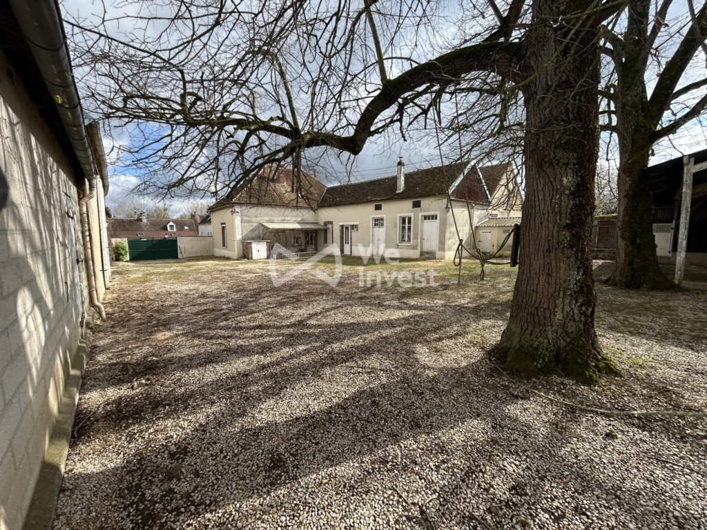 La cour