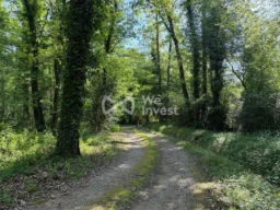 CHEMIN D'ENTREE