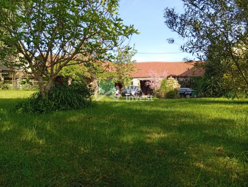 The Garden