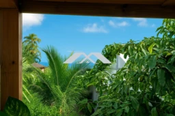 Vue terrasse