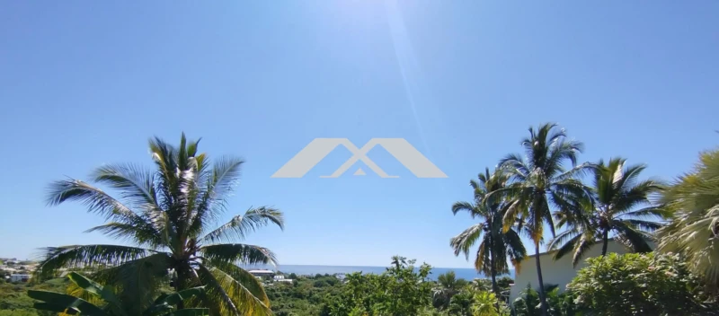 VUE DE LA SUITE PARENTALE