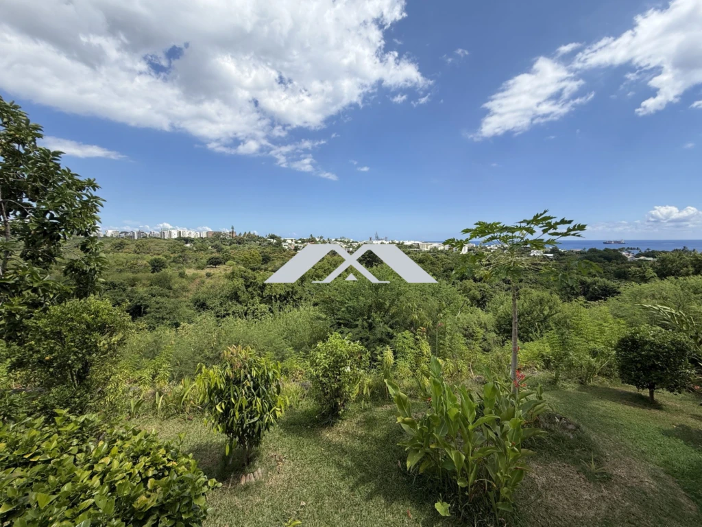 VUE PARC