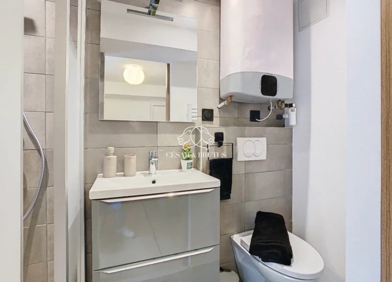 Salle d'eau avec WC