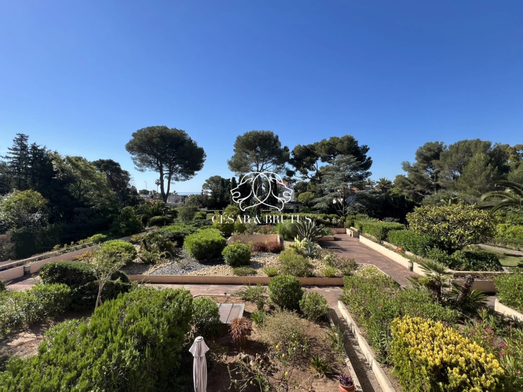 Vue depuis la terrasse
