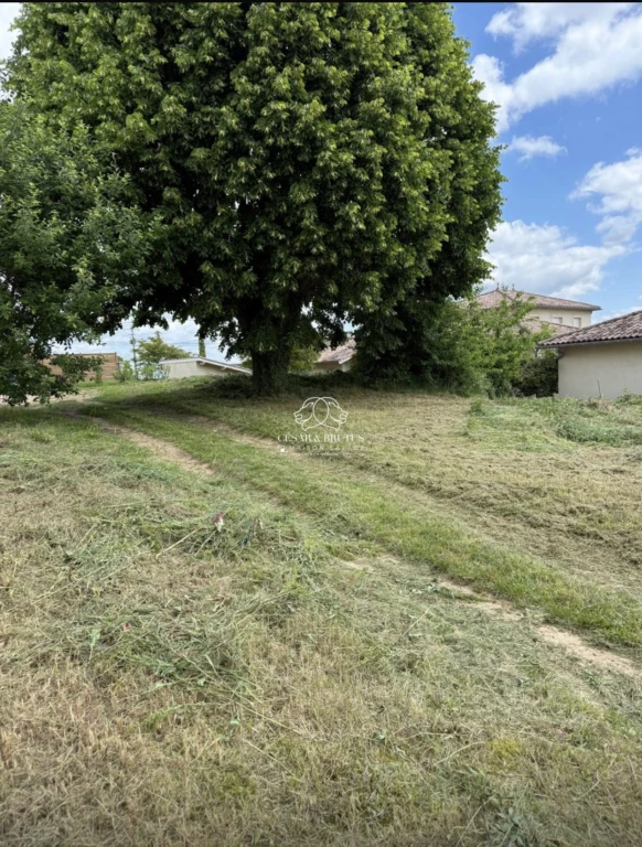 Terrain