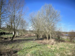 Le terrain