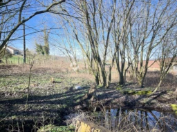La marre