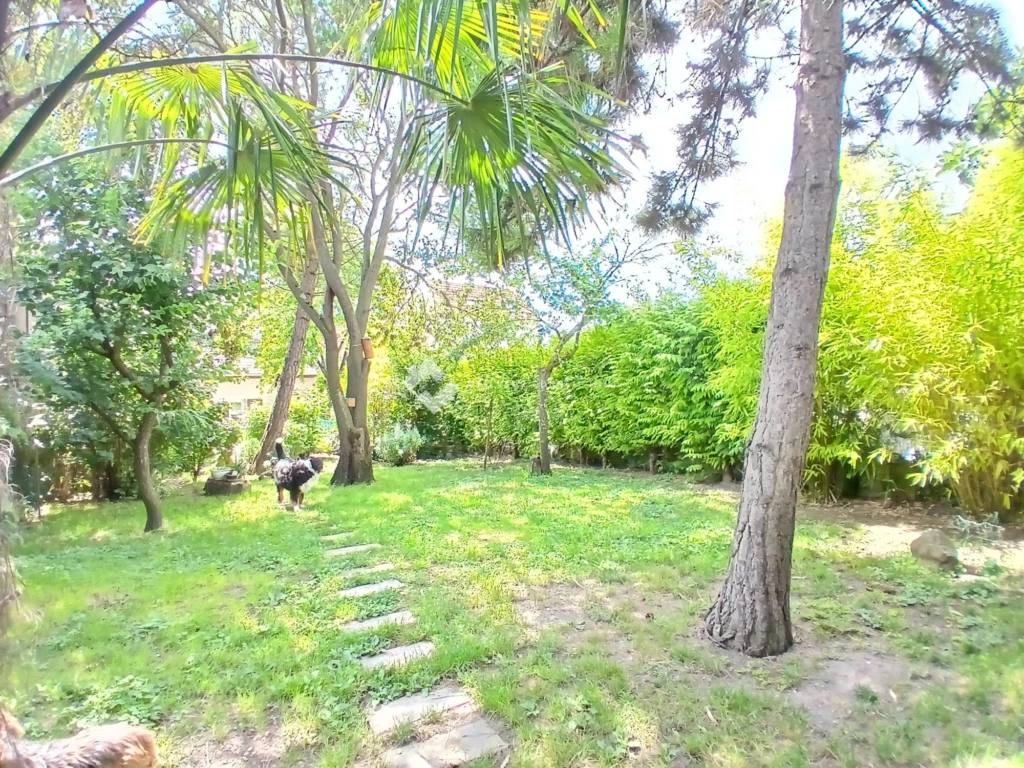 Jardin