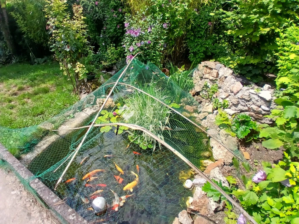 Bac a poisson