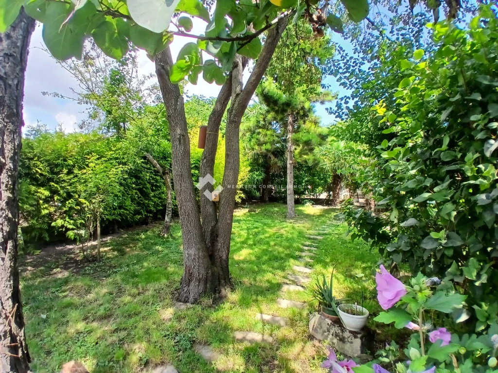 Jardin