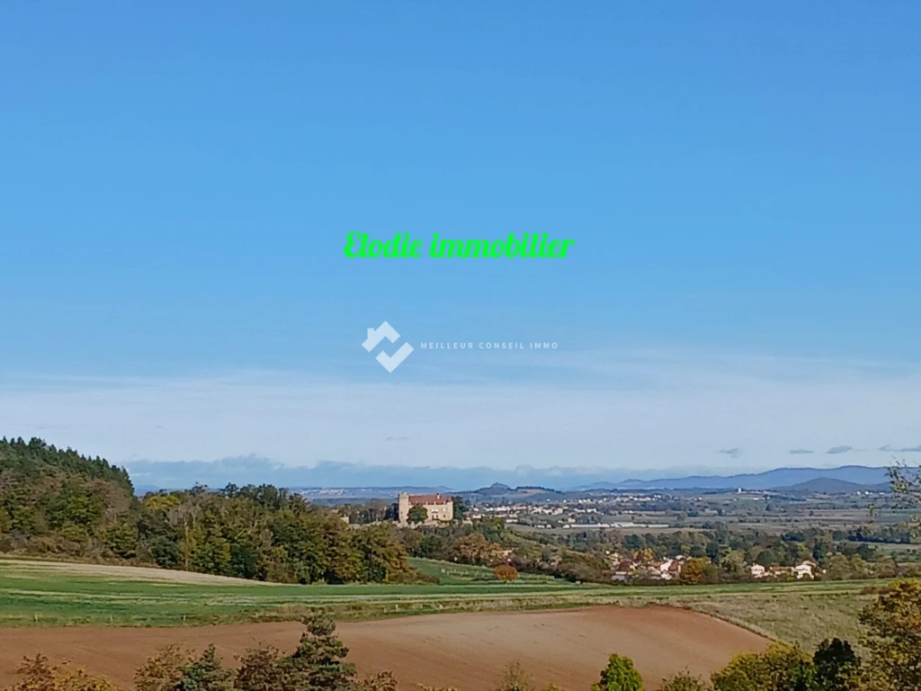 vue du terrain