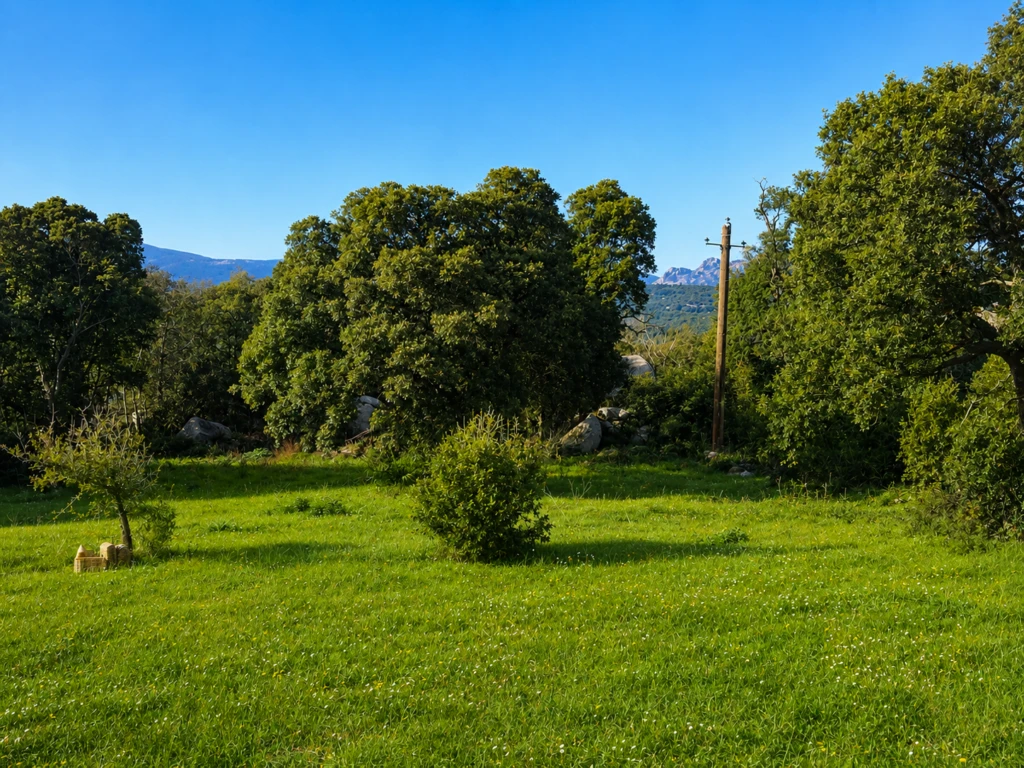 Terrain Tenda Porto Vecchio partie basse