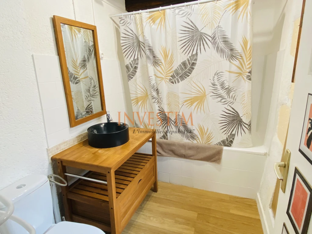 Appartement T2 BLOIS VIENNE