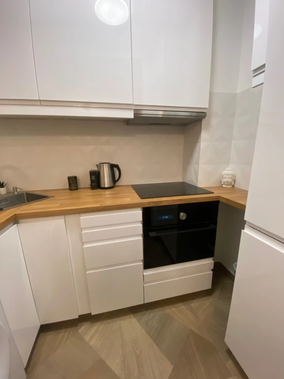 Bel appartement lumineux sans vis-à-vis (loyer tout inclus) 6