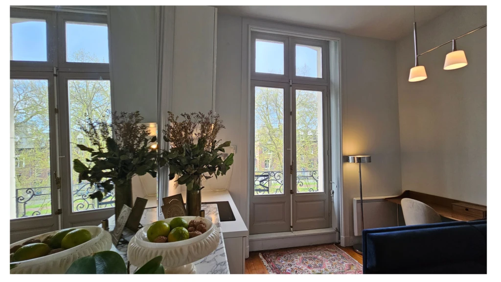 Appartement T3 Bis Entièrement Meublé avec Mezzanine et Balcon (loyer tout inclus) 11