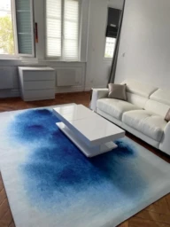 appartement de standing (loyer tout inclus) 1