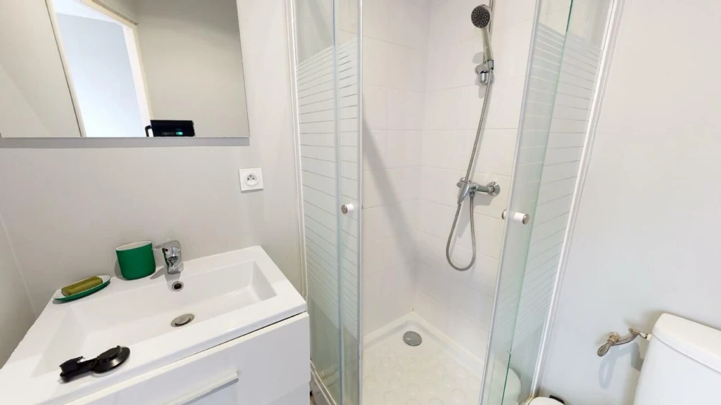 Chambre en coloc Lille avec salle de bain privative (loyer tout inclus) 6