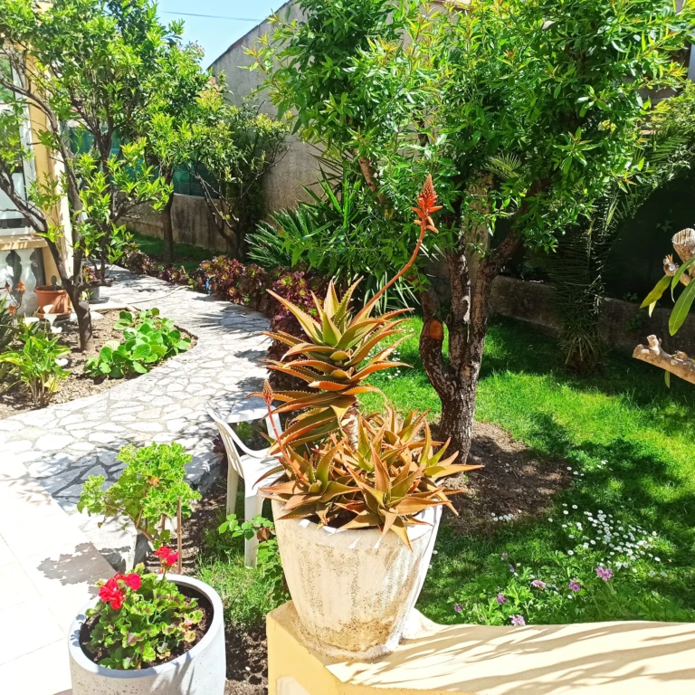 AppartementMeublè F2 Bord de mer 150m (loyer tout inclus) 9