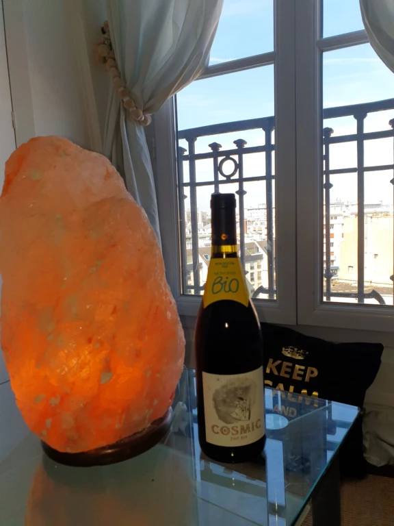 À 10 minutes à pied de Paris - Charmant studio avec vue imprenable sur la Tour Eiffel & les toits de Paris (loyer tout inclus) 14