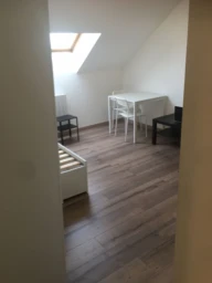 Studio meublé Belfort centre refait à neuf (loyer tout inclus) 1