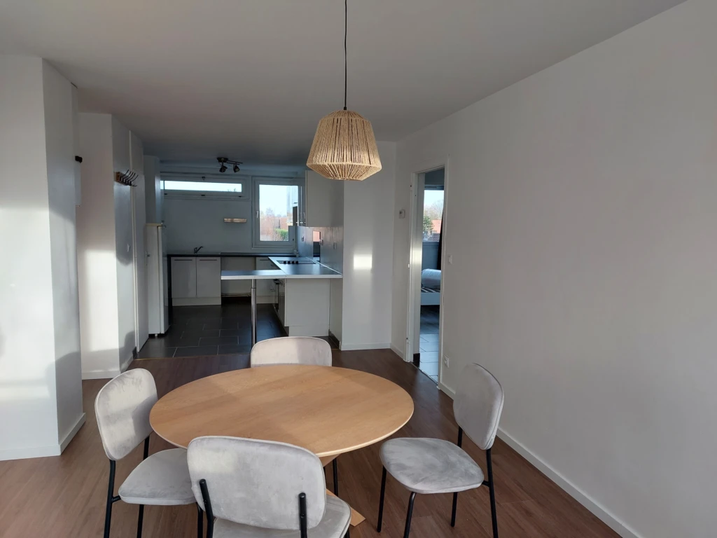 Appartement meublé T3 avec cave (loyer tout inclus) 1