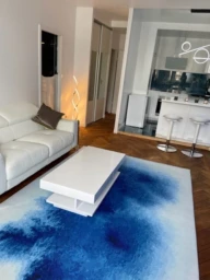 appartement de standing (loyer tout inclus) 2