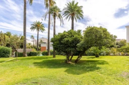 T2 à Cannes près du centre (loyer tout inclus) 1