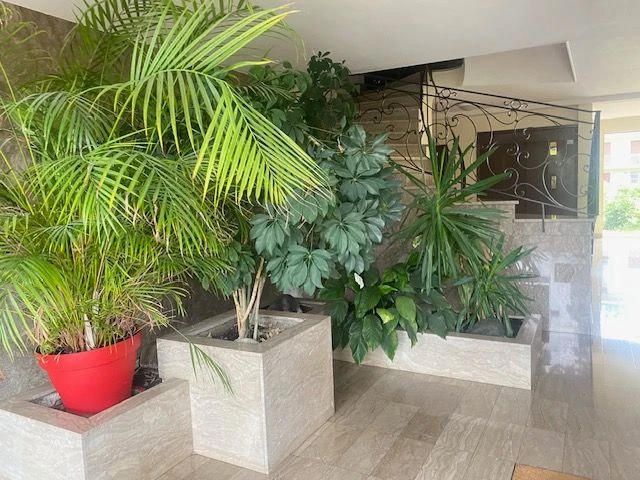 Bel Appartement à louer (loyer tout inclus) 5