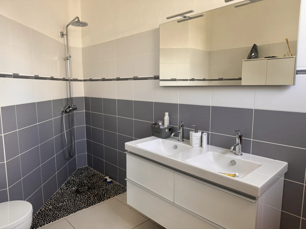 Salle d'eau attenante