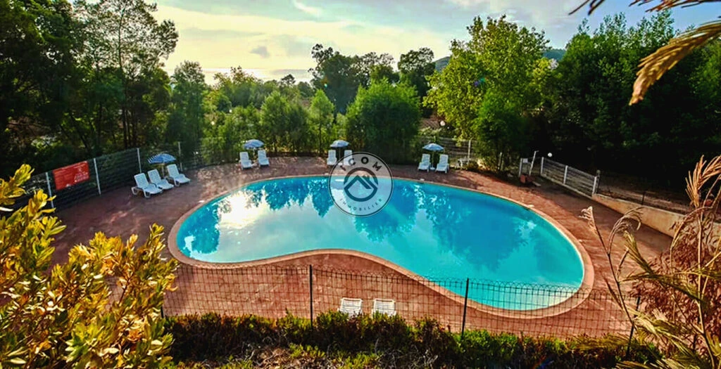 Residence-lisa-maria-sari-solenzara-piscine-2