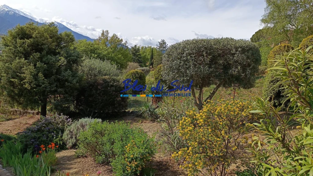 Jardin