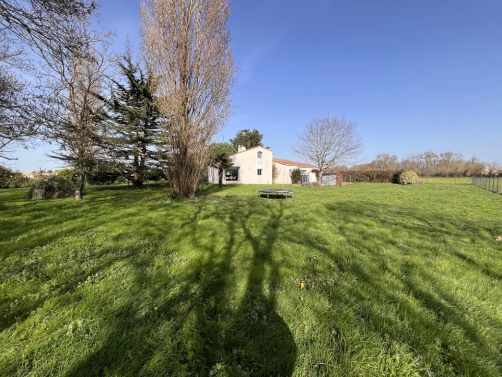 IMG_3884
