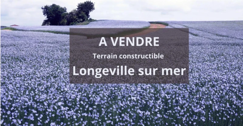 A VENDRE