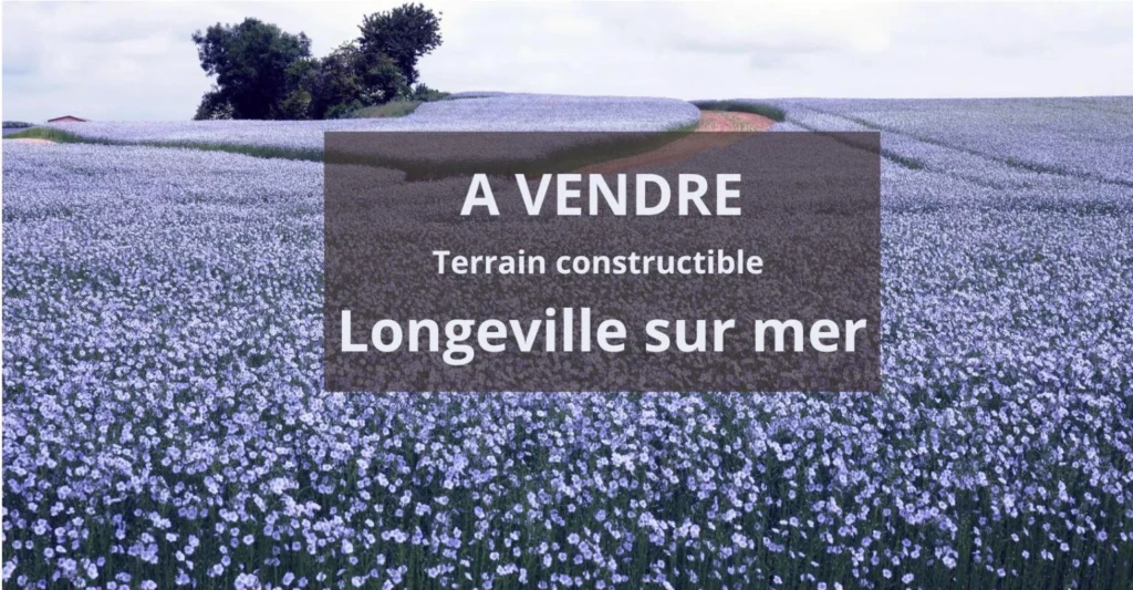 A VENDRE