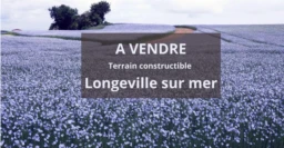 A VENDRE