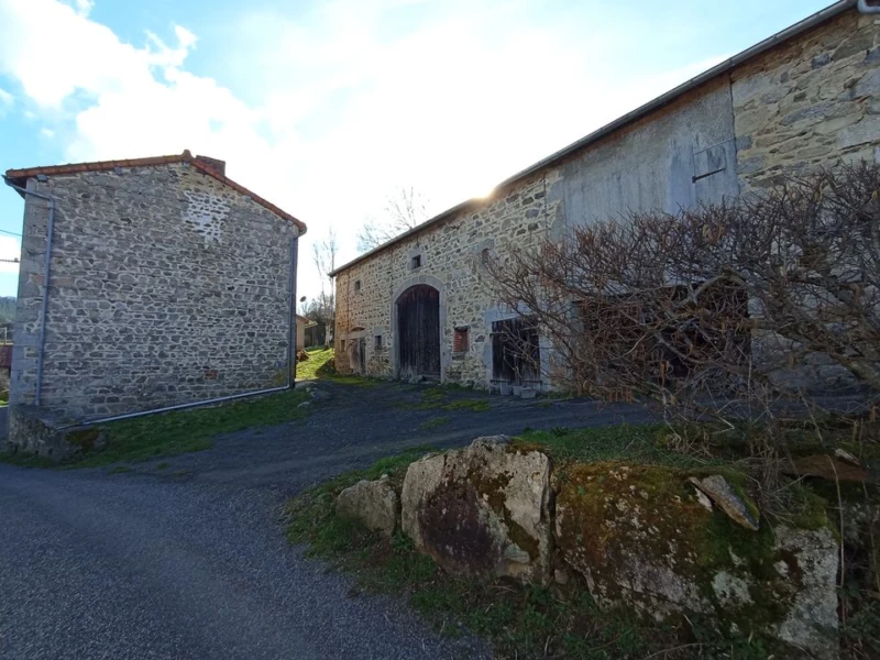 NATURE CAMPAGNE LOIN CALME HERBE TERRAIN