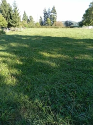 nature jardin réseau campagne maison