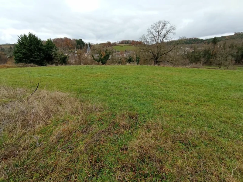 neuf maison standing résidentiel jardin