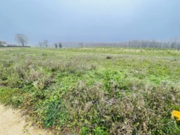 Terrain Viabilisé, Terrain constructible, Viré