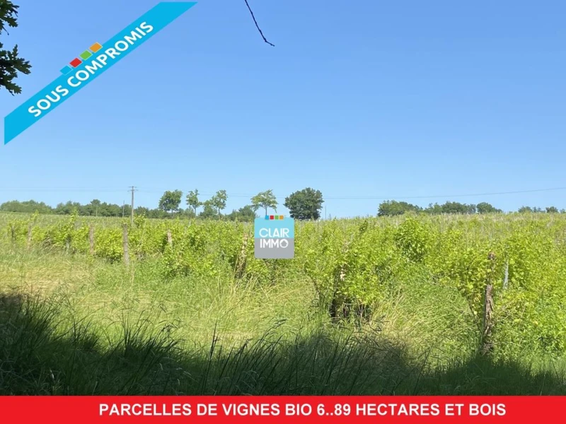 #vignes #gers #bois