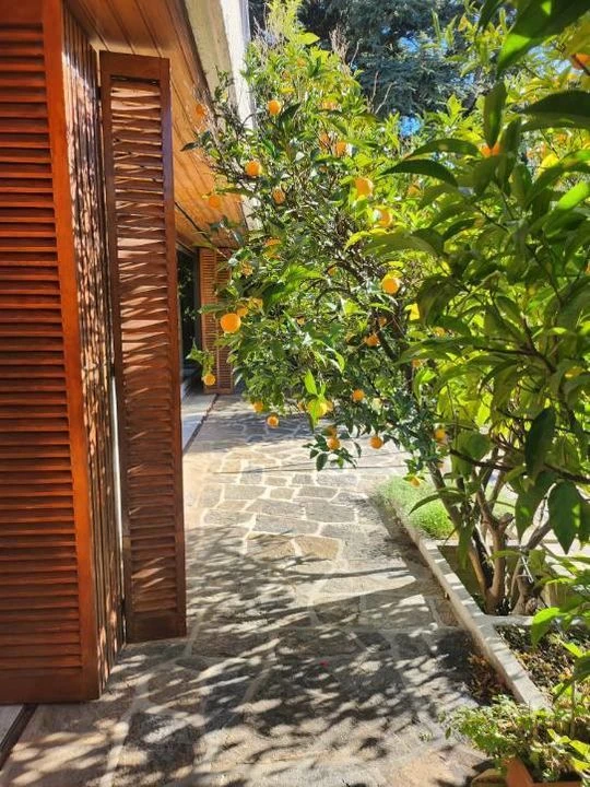 Jardin agrémenté accès immédiat dans le salon.