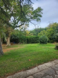 Terrain Plat et constructible 653 m²