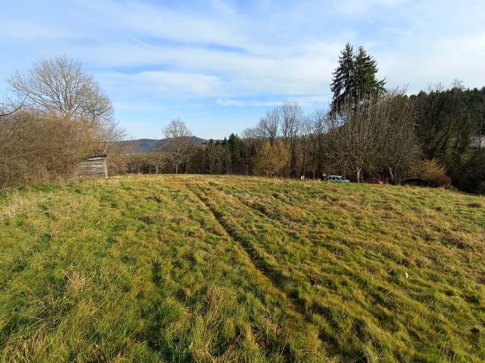 herbe montagne bourbonnaise assainissement bornage