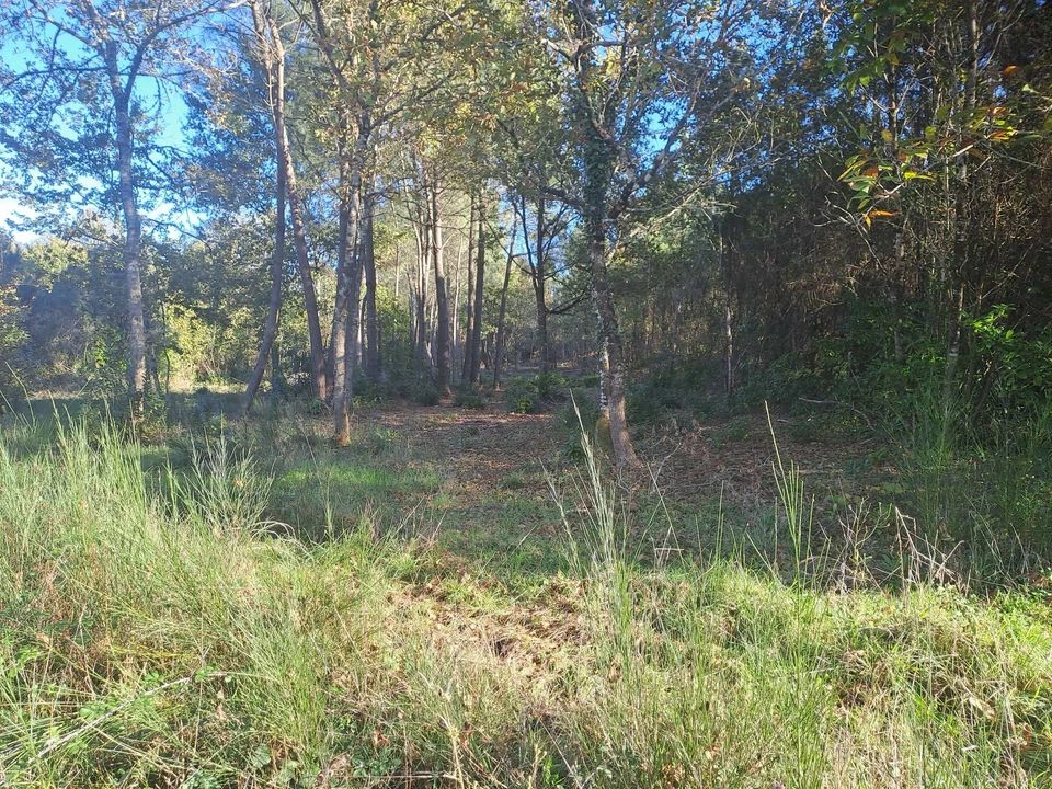 TERRAIN CONSTRUCTIBLE ST SAUVEUR ET FORESTIER