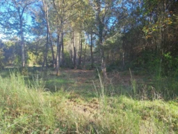 TERRAIN CONSTRUCTIBLE ST SAUVEUR ET FORESTIER