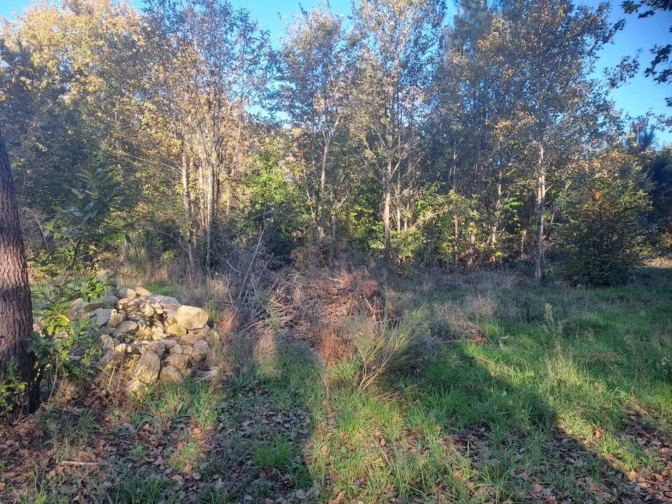 TERRAIN CONSTRUCTIBLE ST SAUVEUR ET FORESTIER
