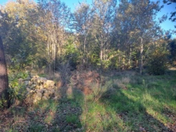 TERRAIN CONSTRUCTIBLE ST SAUVEUR ET FORESTIER
