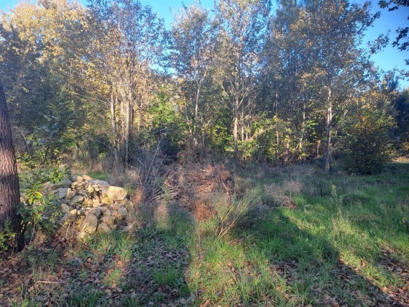 TERRAIN CONSTRUCTIBLE ST SAUVEUR ET FORESTIER