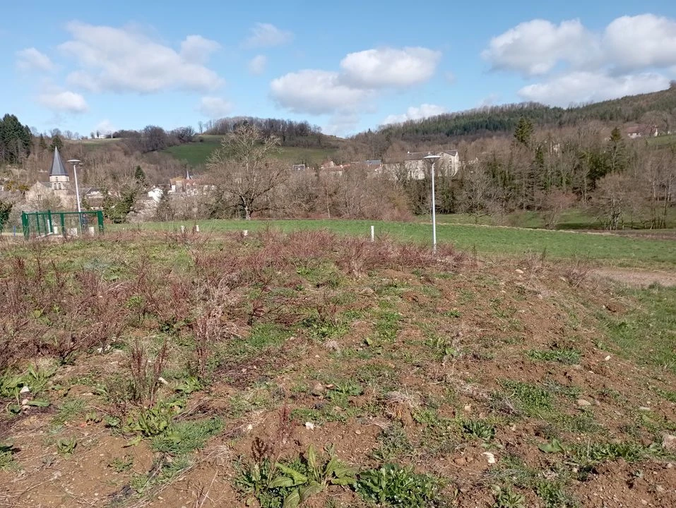 terrain constructible vue dégagée borné