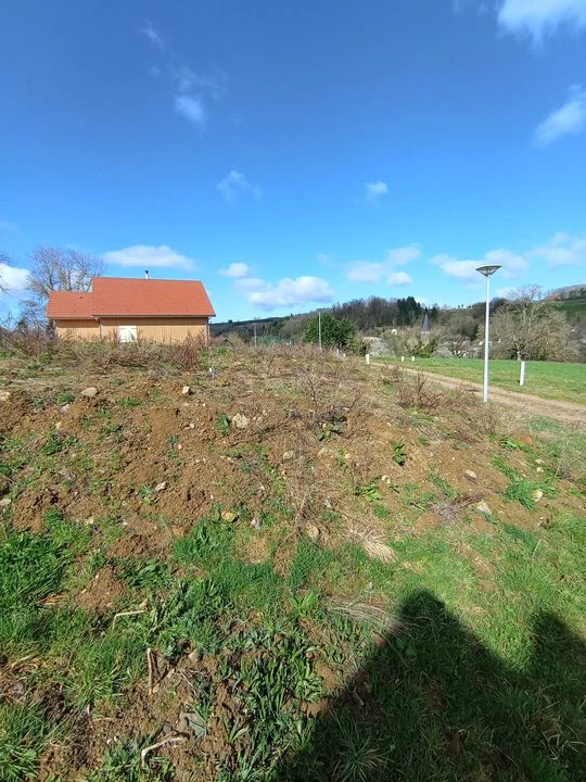neuf maison standing résidentiel jardin